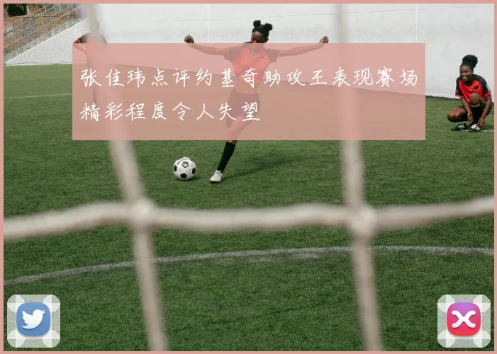 张佳玮点评约基奇助攻王表现赛场精彩程度令人失望
