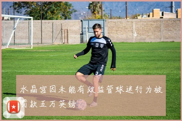 水晶宫因未能有效监管球迷行为被罚款五万英镑