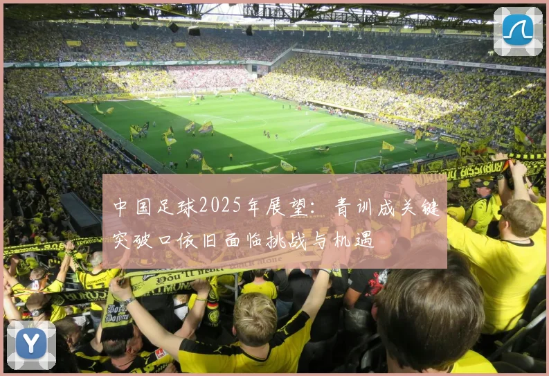 中国足球2025年展望：青训成关键突破口依旧面临挑战与机遇
