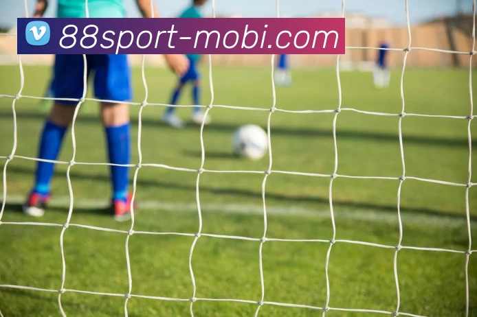 体育数据展示